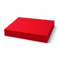 Punkydoodle 65 lb Card Stock, 8.5 x 11 Inches, Red, 100 Sheets